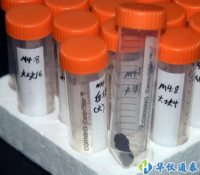 儀器探索發現周代化妝品含有植物精油