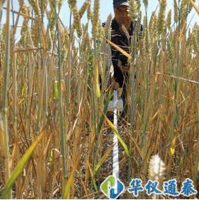 英國(guó)Delta-T Devices  SunScan專(zhuān)業(yè)版植物冠層分析儀