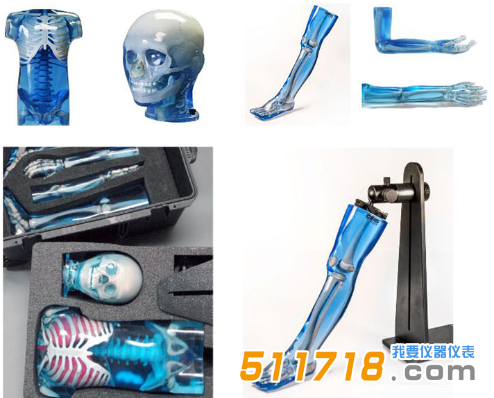 美國CIRS 715兒科全身體模1.png