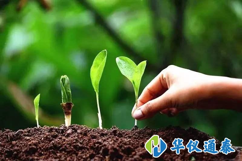 1602647192187979.jpg 土壤.jpg