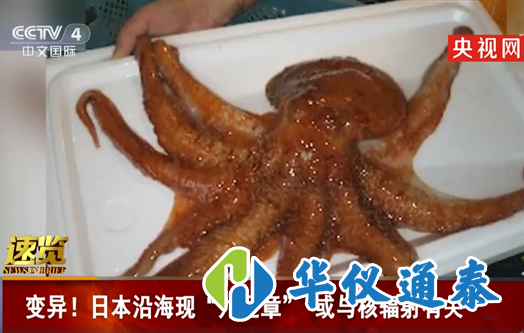 1606363096387924.png 日本沿海現(xiàn)九足章或與核輻射相關(guān).png