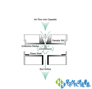 1641801257544884.png 1.png